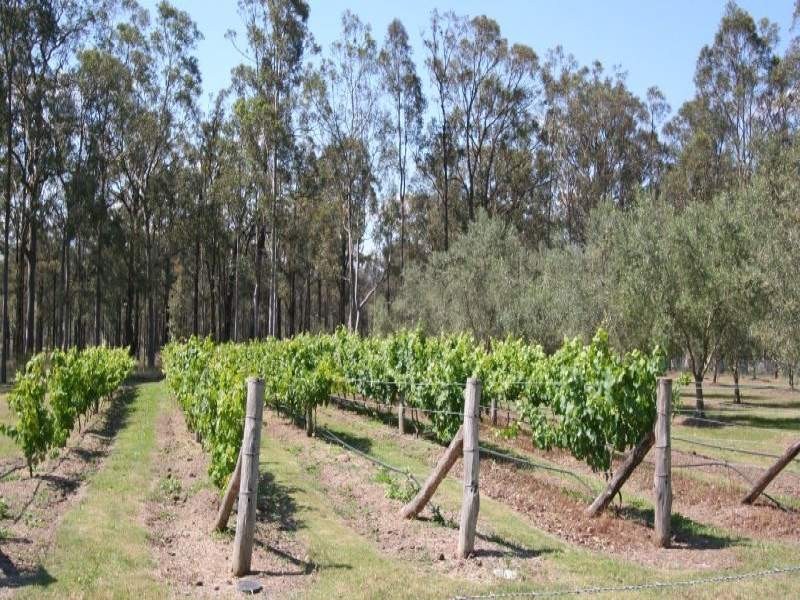 284 Elderslie Road, Branxton NSW 2335