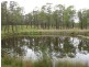 284 Elderslie Road, Branxton NSW 2335