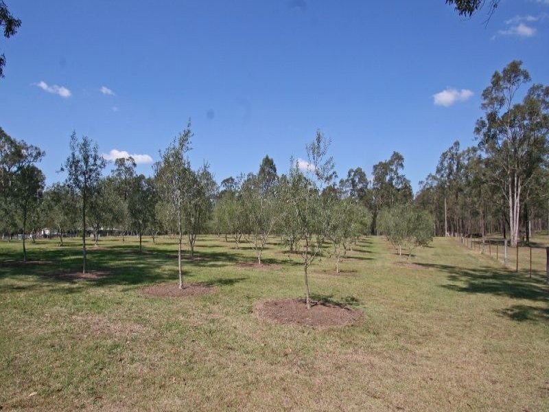 284 Elderslie Road, Branxton NSW 2335