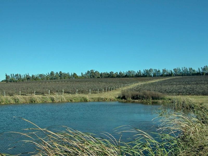L109 Palmers Lane, Pokolbin NSW 2320
