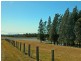 L109 Palmers Lane, Pokolbin NSW 2320