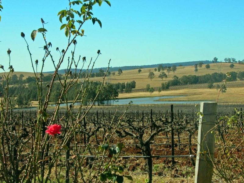 L109 Palmers Lane, Pokolbin NSW 2320