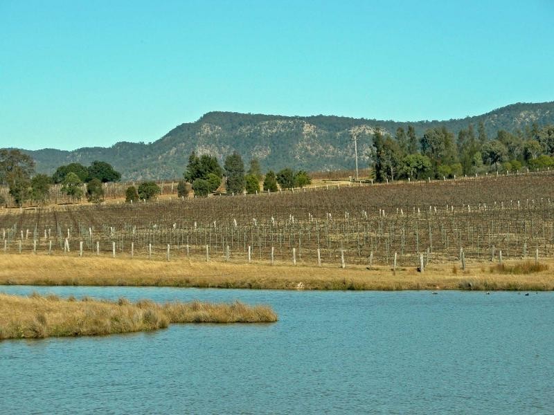 L109 Palmers Lane, Pokolbin NSW 2320