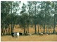 L109 Palmers Lane, Pokolbin NSW 2320