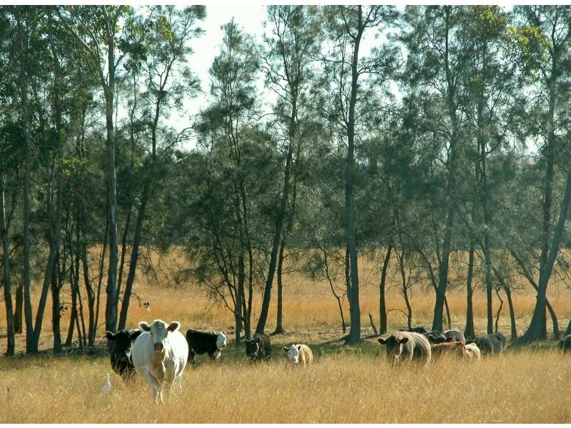 L109 Palmers Lane, Pokolbin NSW 2320