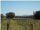 L109 Palmers Lane, Pokolbin NSW 2320