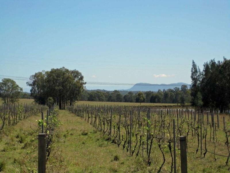 L109 Palmers Lane, Pokolbin NSW 2320