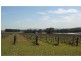 L109 Palmers Lane, Pokolbin NSW 2320