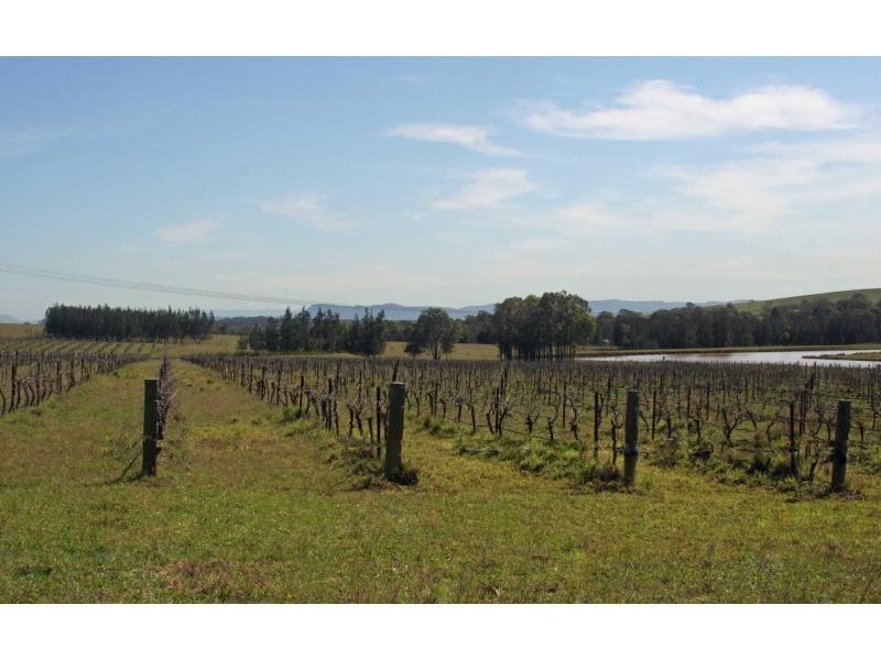 L109 Palmers Lane, Pokolbin NSW 2320