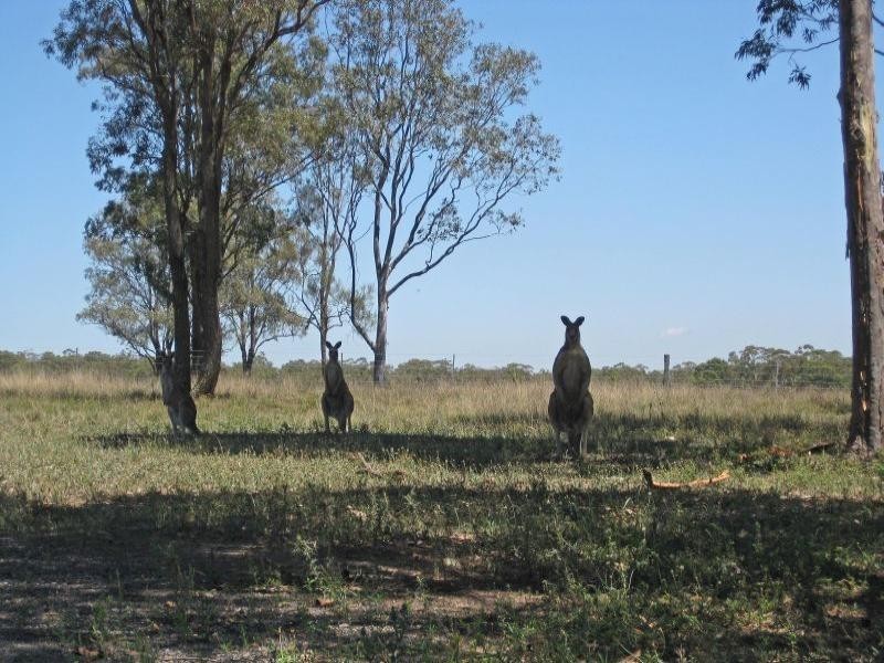 421-426 Mistletoe Lane, Pokolbin NSW 2320
