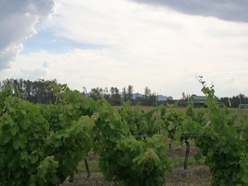 386 Wilderness Road, Lovedale NSW 2325