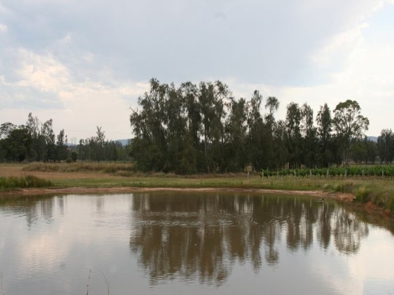 386 Wilderness Road, Lovedale NSW 2325