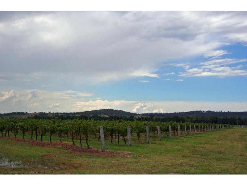 386 Wilderness Road, Lovedale NSW 2325