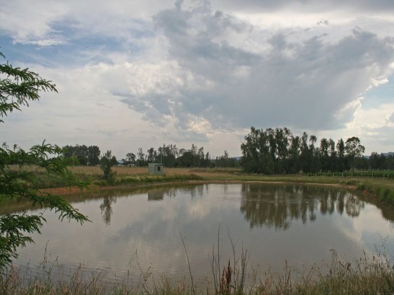 386 Wilderness Road, Lovedale NSW 2325