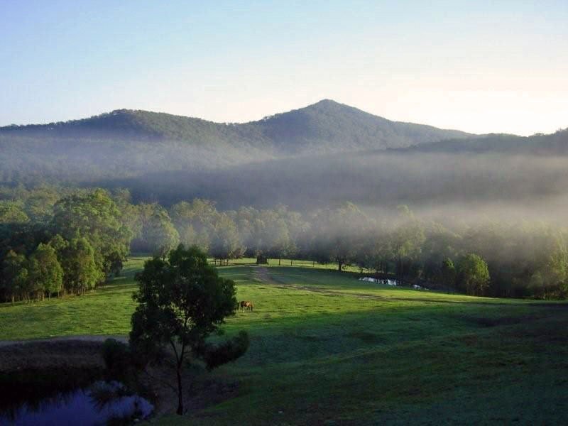 144 Leiberts Lane, Brunkerville NSW 2323