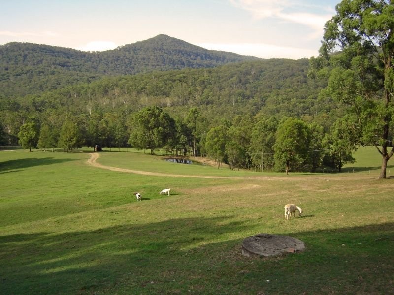 144 Leiberts Lane, Brunkerville NSW 2323