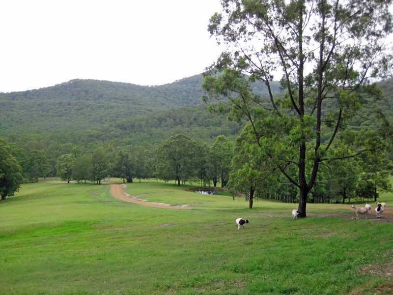 144 Leiberts Lane, Brunkerville NSW 2323