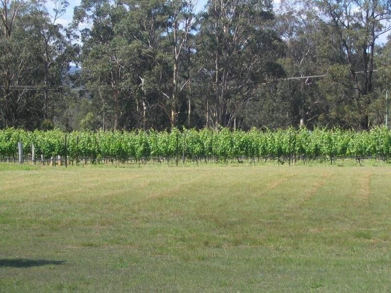 Lot 70 Kelman Estate, Crn Oakey Creek Road & Mt View Road, Pokolbin NSW 2320