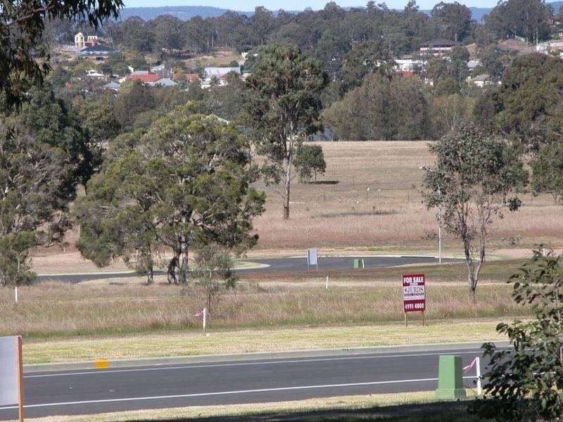 Lot 228 The Vines Mt View Road, Cessnock NSW 2325