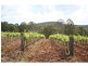 Pokolbin NSW 2320