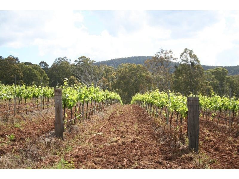 Pokolbin NSW 2320