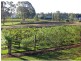 Lot 31 Kelman Estate, Oakey Creek Road, Pokolbin NSW 2320