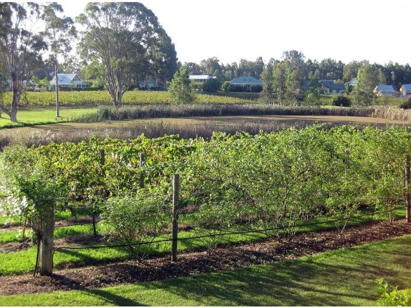 Lot 31 Kelman Estate, Oakey Creek Road, Pokolbin NSW 2320