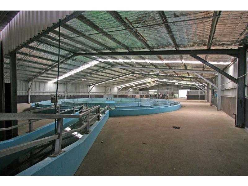 2 Hamilton Street, Ellalong NSW 2325