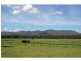 2 Hamilton Street, Ellalong NSW 2325
