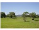 331 Pywells Road, Luskintyre NSW 2321