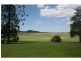 331 Pywells Road, Luskintyre NSW 2321