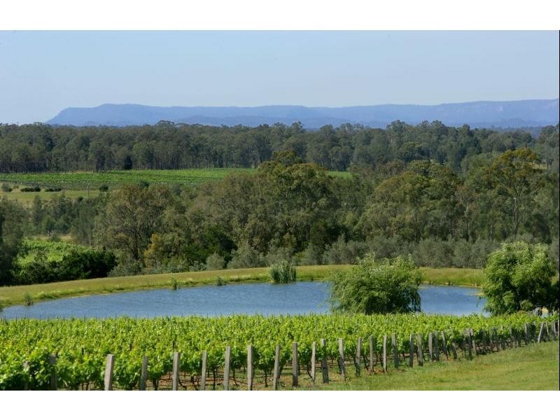 162 Wilderness Road, Lovedale NSW 2325