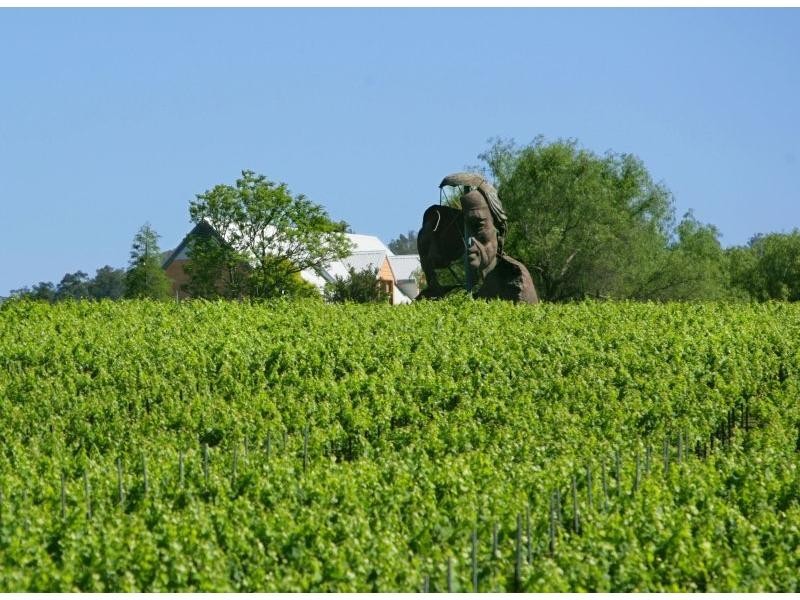 162 Wilderness Road, Lovedale NSW 2325