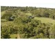 Lot 1 Wilderness Road, Lovedale NSW 2325
