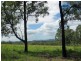 85 Marrowbone Road, Pokolbin NSW 2320