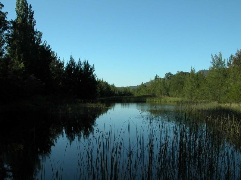 Lot 242 Hill Street, Broke NSW 2330