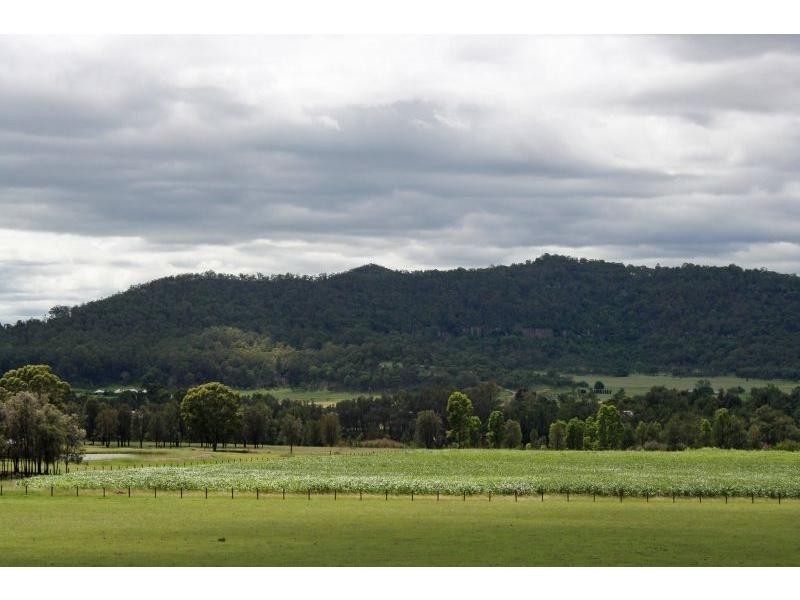 Lot 242 Hill Street, Broke NSW 2330