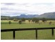 Lot 242 Hill Street, Broke NSW 2330
