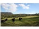 22 Rodney Road, Mount Vincent NSW 2323