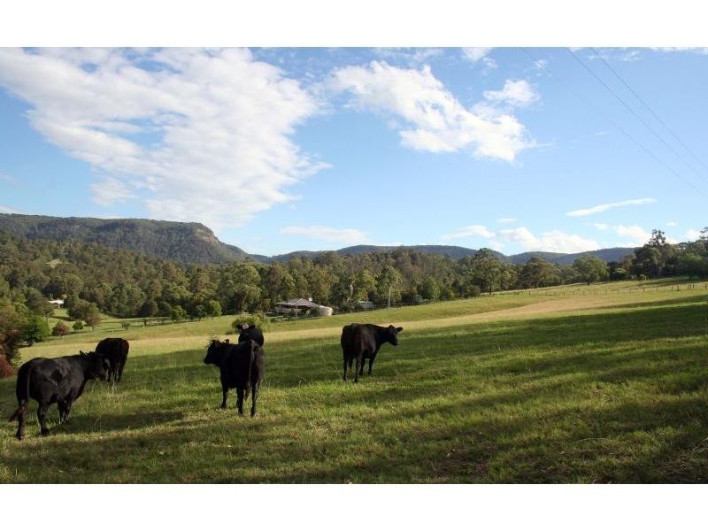 22 Rodney Road, Mount Vincent NSW 2323