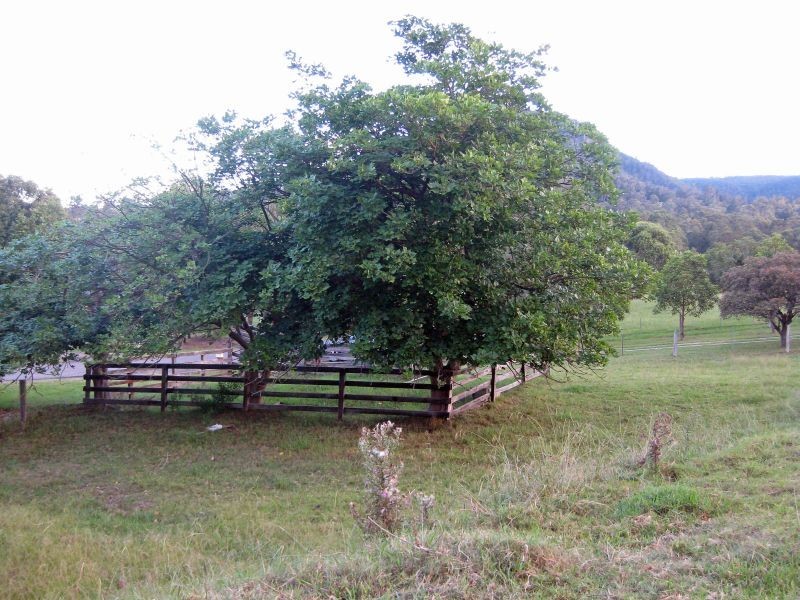 22 Rodney Road, Mount Vincent NSW 2323