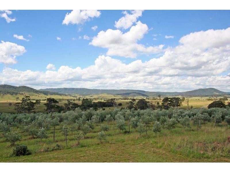 232B Fernhill Road, Dalwood NSW 2335