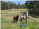 Millfield NSW 2325