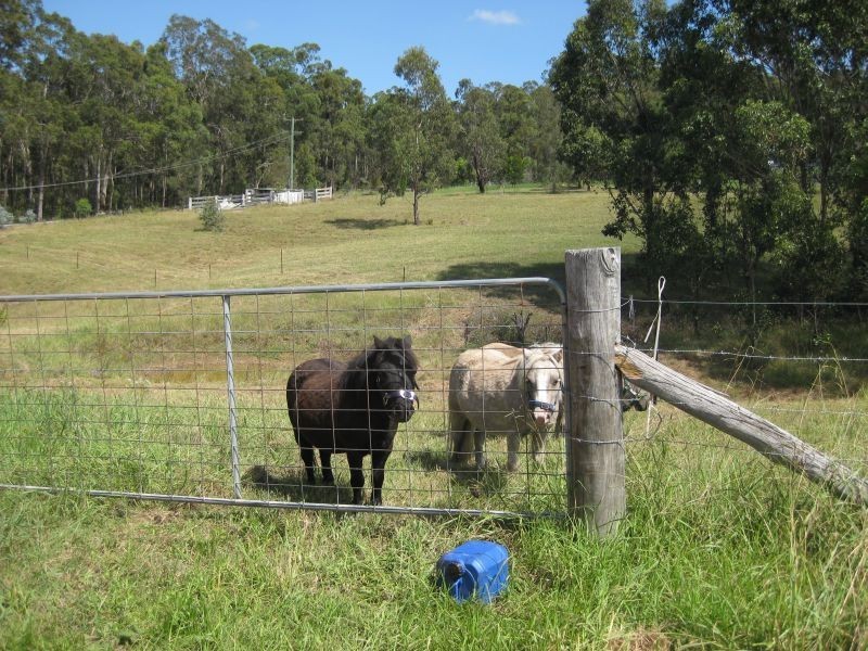 Millfield NSW 2325