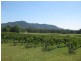 383 Wollombi Road, Broke NSW 2330