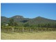 383 Wollombi Road, Broke NSW 2330