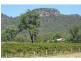 383 Wollombi Road, Broke NSW 2330