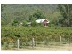 383 Wollombi Road, Broke NSW 2330