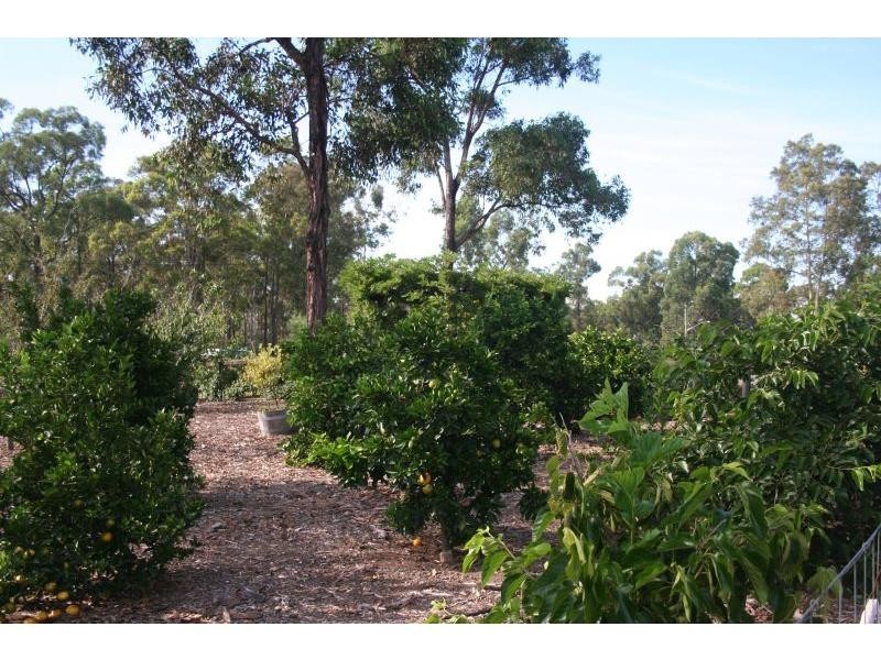 6 Grey Gum Drive, Weston NSW 2326