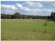 Lovedale NSW 2325